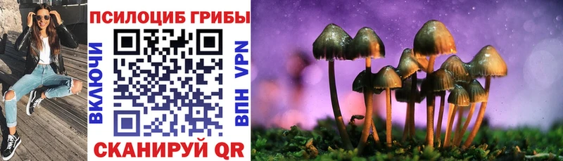 Галлюциногенные грибы мицелий  где продают наркотики  ОМГ ОМГ ссылка  Северобайкальск 