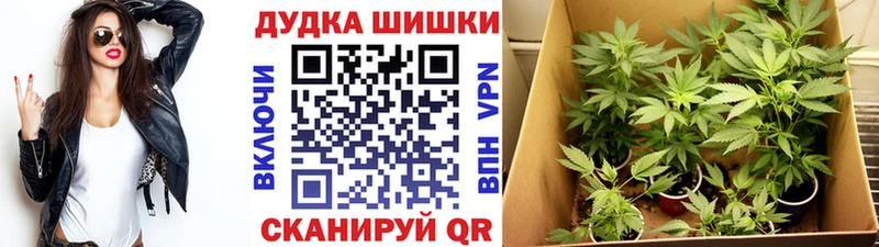Марихуана White Widow  Северобайкальск 